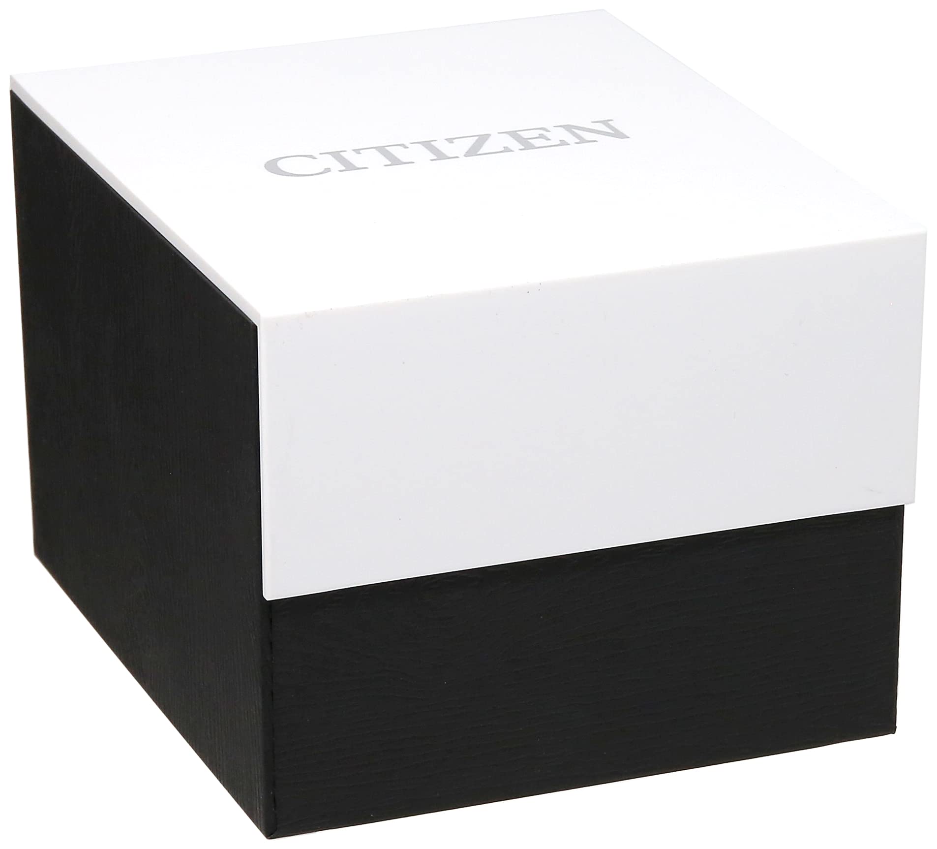 Citizen Men's Eco-Drive Modern Eco Axiom Watch